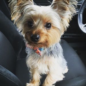 Meet your Posher, Deesha